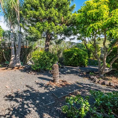 Quintinha De Sao Martinho - & Lux Βίλα Φουνκάλ