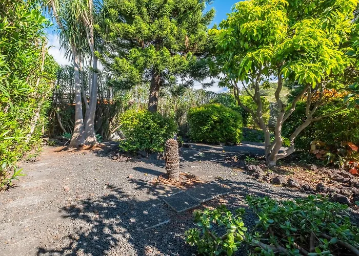 Quintinha De Sao Martinho - & Lux Βίλα Φουνκάλ